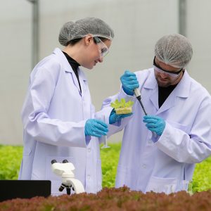 Biotecnologia na soja: novidades que podem revolucionar o cultivo