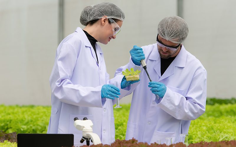 Biotecnologia na soja: novidades que podem revolucionar o cultivo