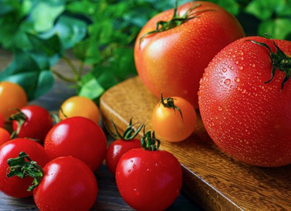 Práticas de Manejo Sustentável para o Cultivo de Tomate