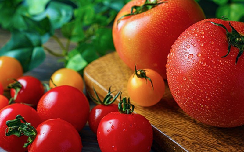 Práticas de Manejo Sustentável para o Cultivo de Tomate